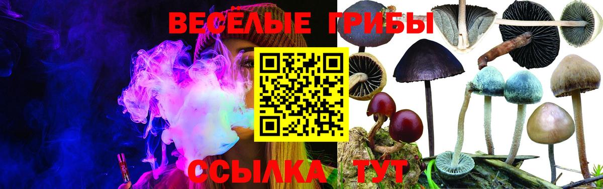 Энгельс  Галлюциногенные грибы Magic Shrooms  Вход с VPN 
